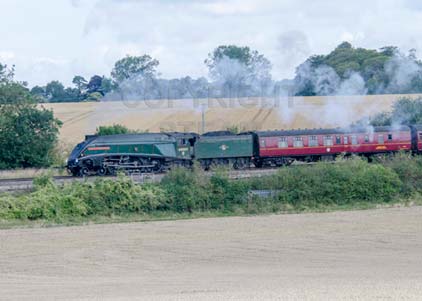 Purchase photo of 60009 UNION OF SOUTH AFRICA at Worting Junction